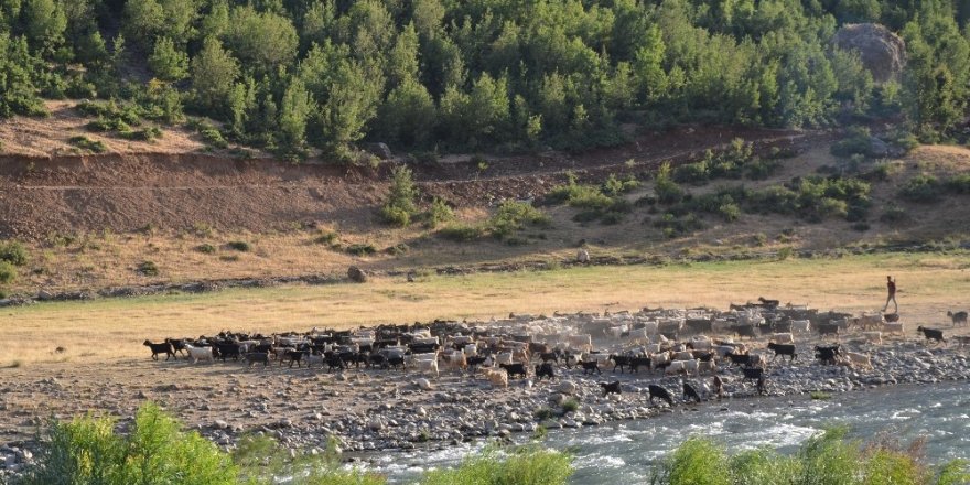 Beytüşşebap Kürtçe kliple tanıtıldı