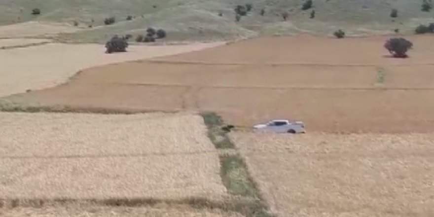 Yardıma gittikleri ayının saldırısıyla karşılaştılar