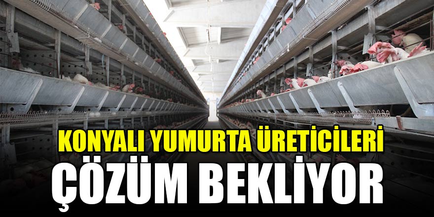 Konyalı yumurta üreticileri çözüm bekliyor