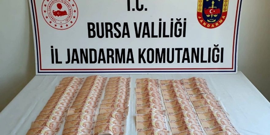 Kurban pazarlarına dadanacaklardı, yakalandılar