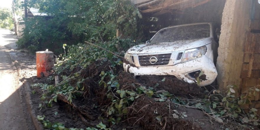 Artvin’de toprak kaymasında 20 hayvan toprak altında kaldı