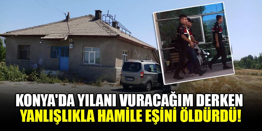 Konya'da yılanı vuracağım derken yanlışlıkla hamile eşini öldürdü!