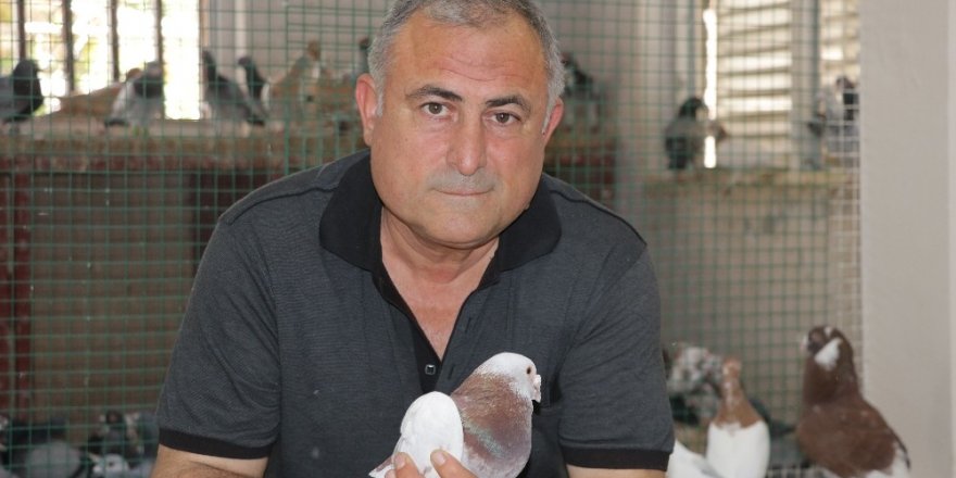 Güvercin sevgisi sınır tanımıyor