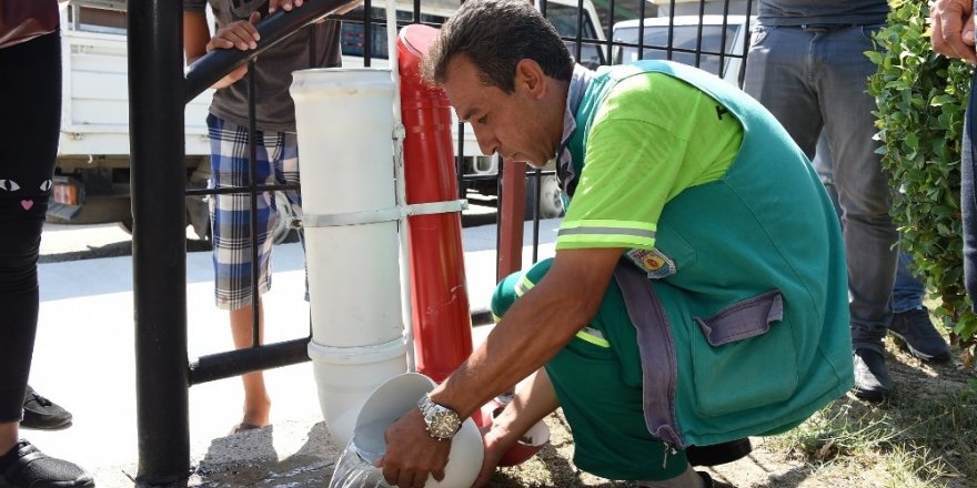 Tarsus’ta sokak hayvanlarına özel suluk ve mama kapları