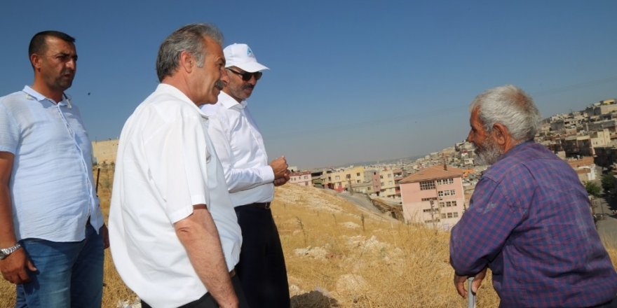 Kuş mahalle gezilerine devam ediyor