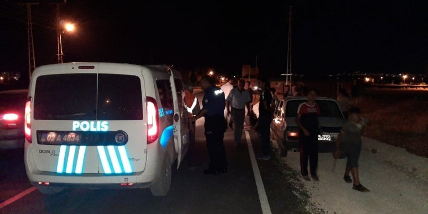 Yoldan geçen hayvanlara çarpıp kaçtı