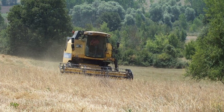 Pazaryeri’nde buğday arpa hasadı başladı