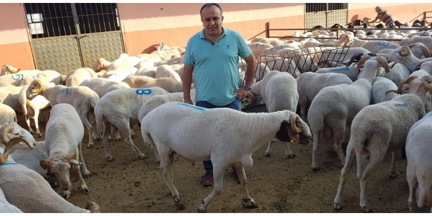 Vatandaşlara kurban alımı ile kesimi uyarısı