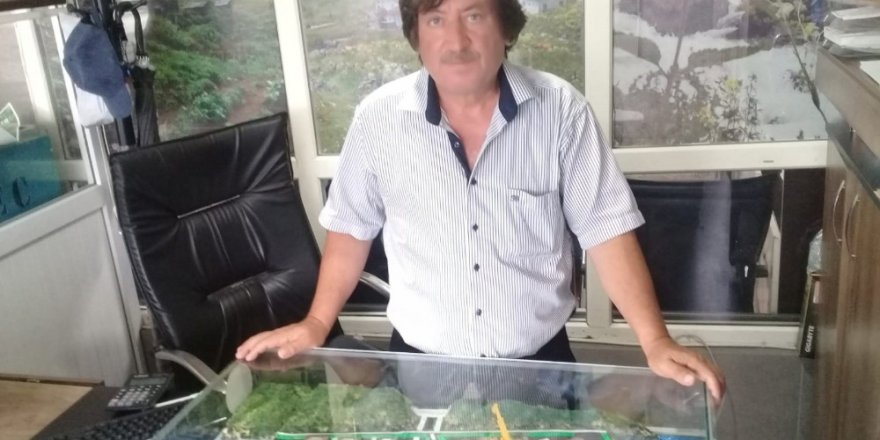 Batı Karadeniz’i bu Limanı bekliyor