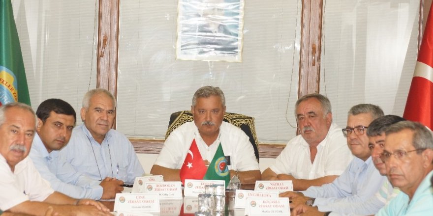 Kendirlioğlu; “İnciri gönül rahatlığıyla tüketebiliriz”