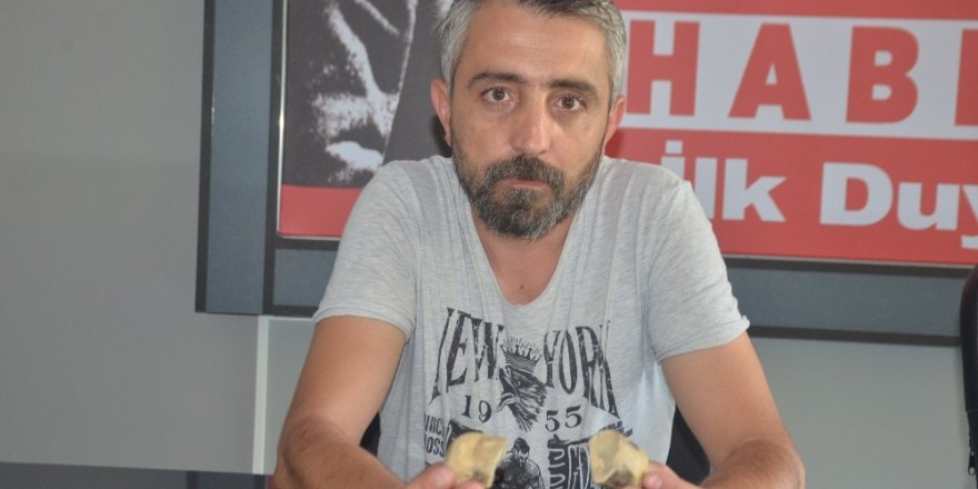 Denizi olmayan Bilecik’te deniz canlıları fosilleri bulundu