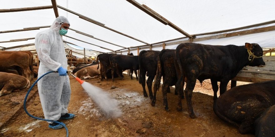 Kurban satış yerlerinde ilâçlama seferberliği