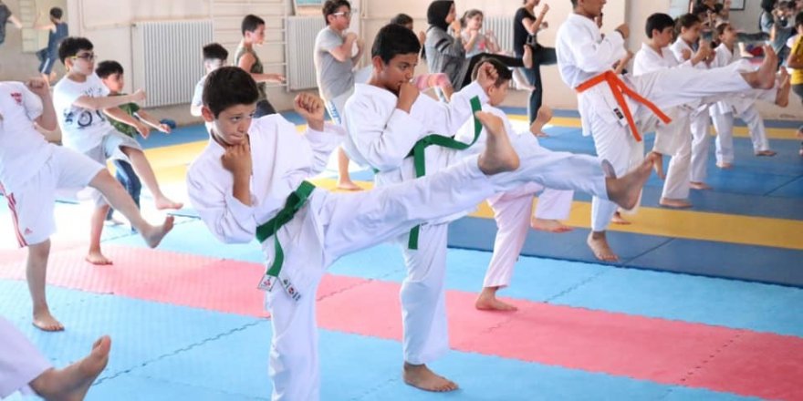 Sivas’ta karate yaz okulu devam ediyor