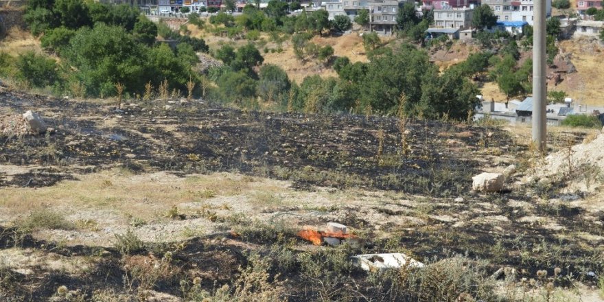 Besni’de anız yangını korkuttu