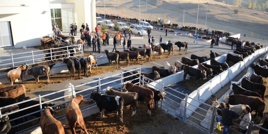 Altındağ’da kurban kesim yerleri belirlendi