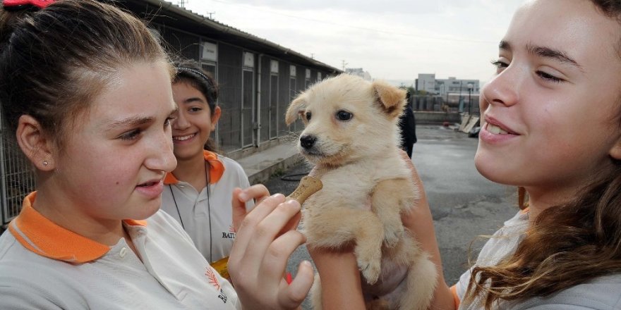 Bin 500 sokak hayvanının artık sıcak yuvası var