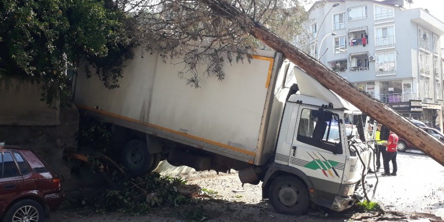 Yasak olan yokuşa giren kamyonet freni patlayınca ağaçları yerinden söktü