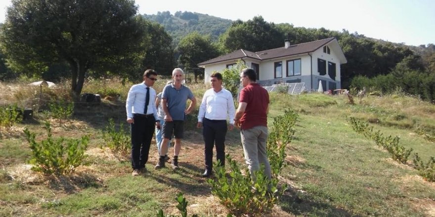 Yalova’da aronya üretimi artıyor