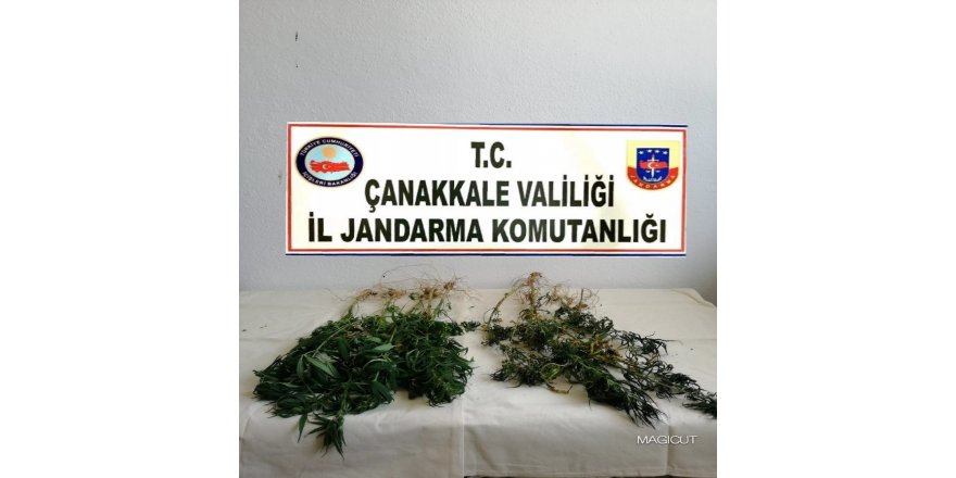 Çanakkale’de uyuşturucu operasyonu: 1 gözaltı