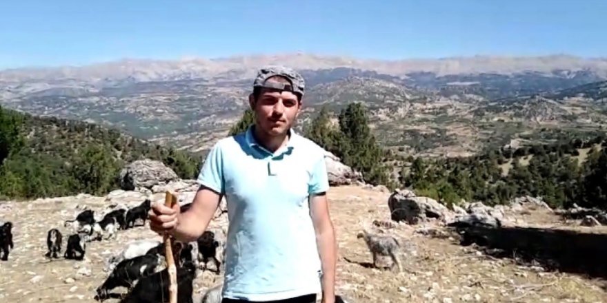 Çobanlık yaparak üniversiteye hazırlandı, 536,84 puan aldı