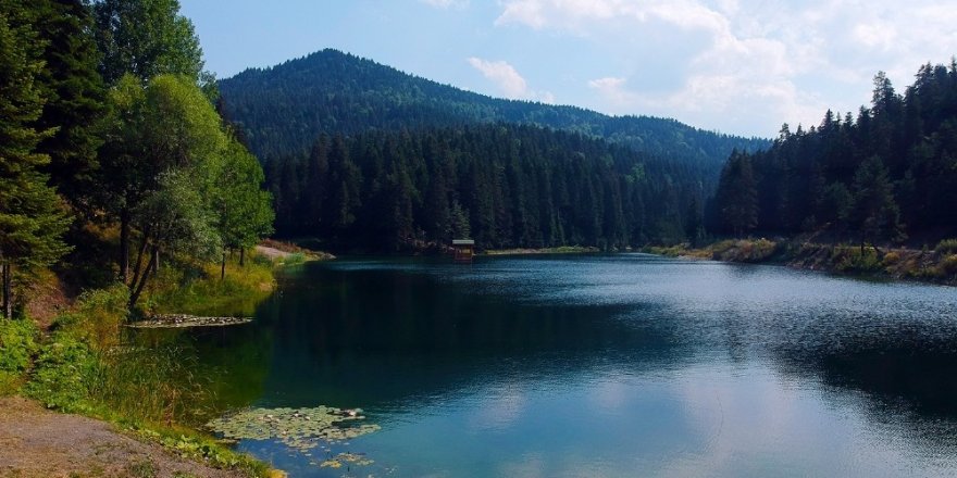 Sinop’ta saklı cennet: Akgöl Tabiat Parkı