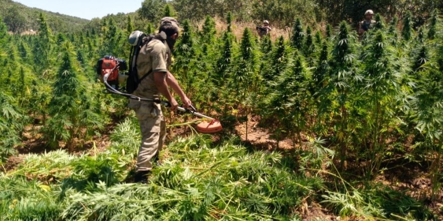 Terörün finans kaynağına büyük darbe