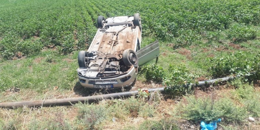 Tarlaya uçan otomobilin sürücüsü yaralandı