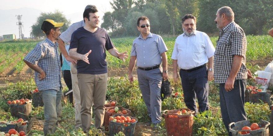 Tarlada çalışan işçilerin kaymakam şaşkınlığı