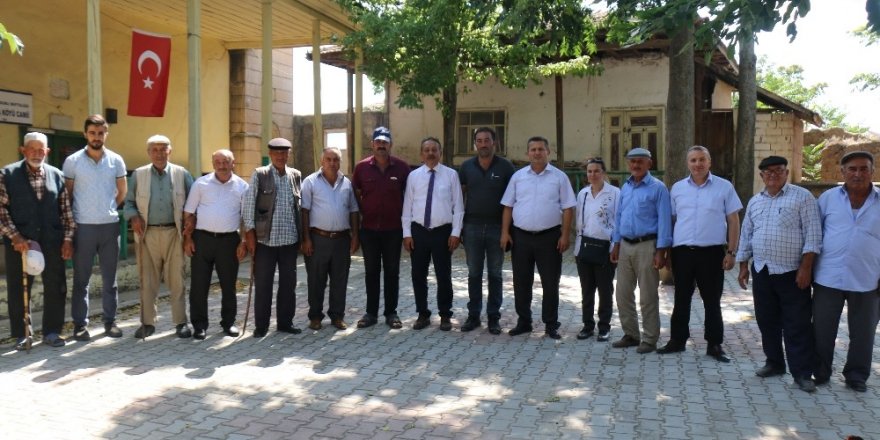 Sungurlu’da 10 dilim kavun hasadı başladı
