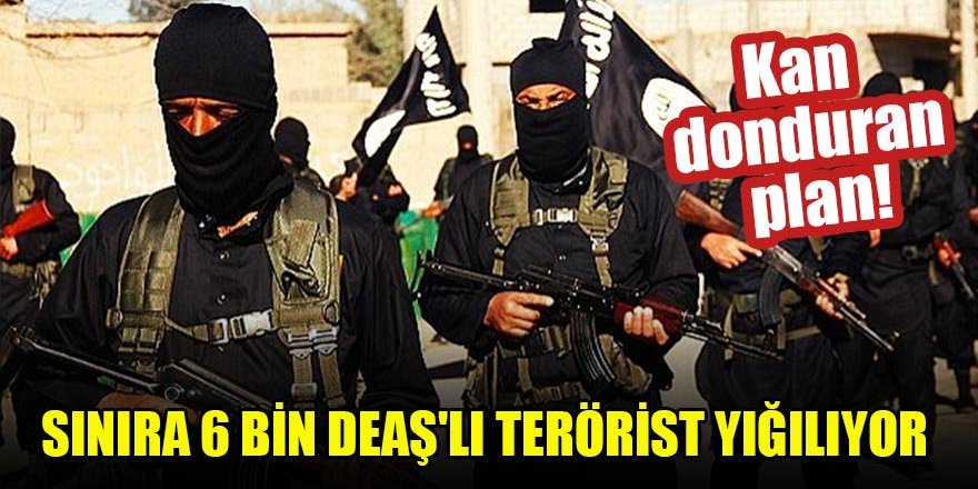 Kan donduran plan! Sınıra 6 bin DEAŞ'lı terörist yığılıyor