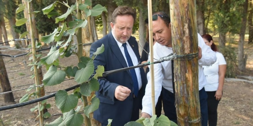 Karesi’de doğan her bebeğe bir fidan dikilecek