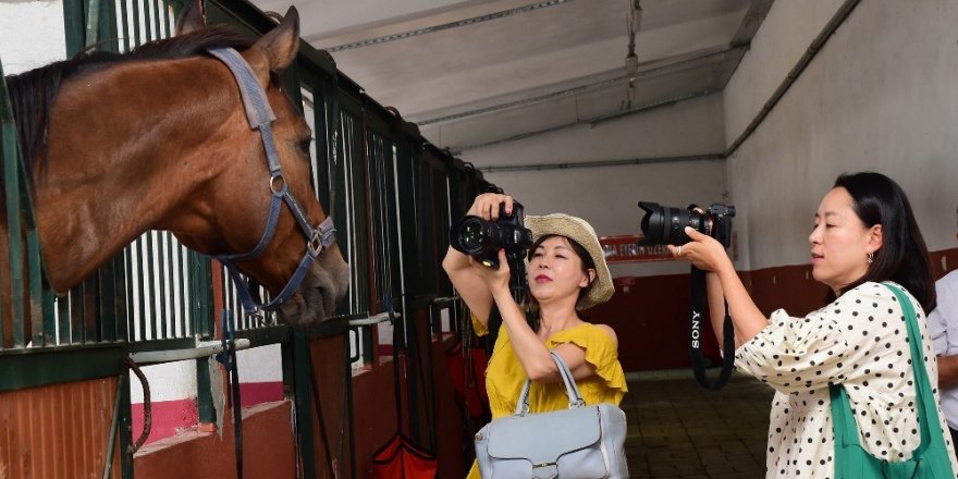 Güney Koreli bloggerların at keyfi