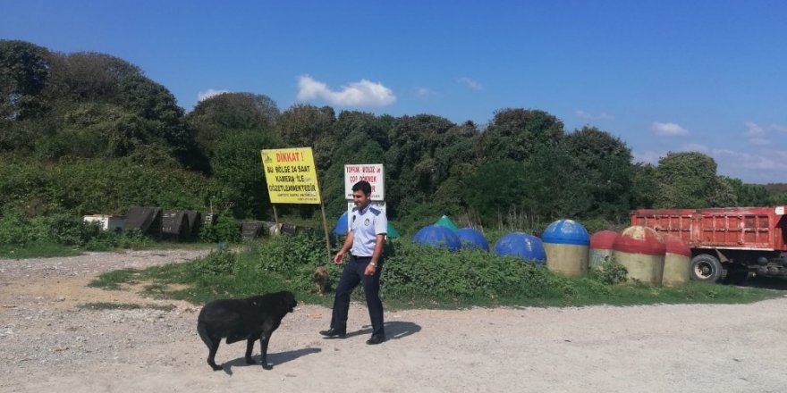 Kartepe’de sokak hayvanları yalnız değil