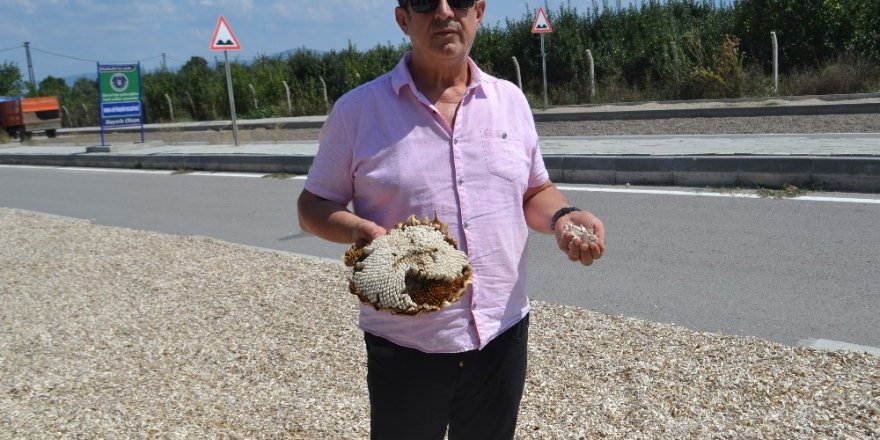 Çevre yolunda ilginç görüntü