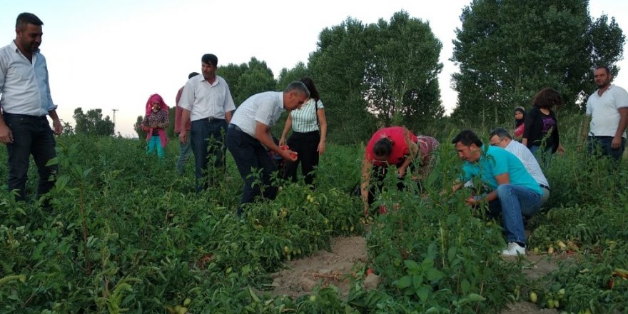 Kardeş ilçe Kumluca heyetinden Tatvan ziyareti