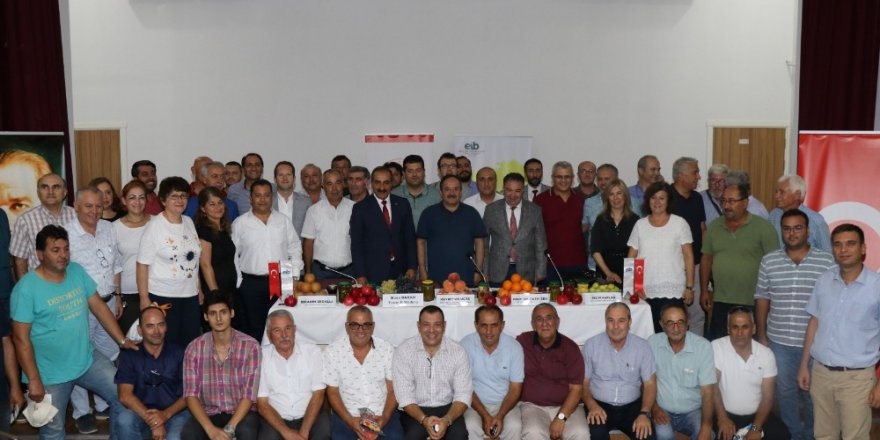 Narenciye ihracatında beklenti 900 milyon dolar