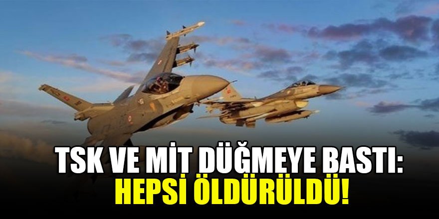 TSK ve MİT düğmeye bastı: Hepsi öldürüldü!