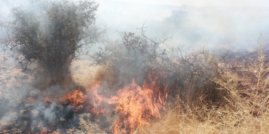 Adıyaman’da, orman yangını korkuttu