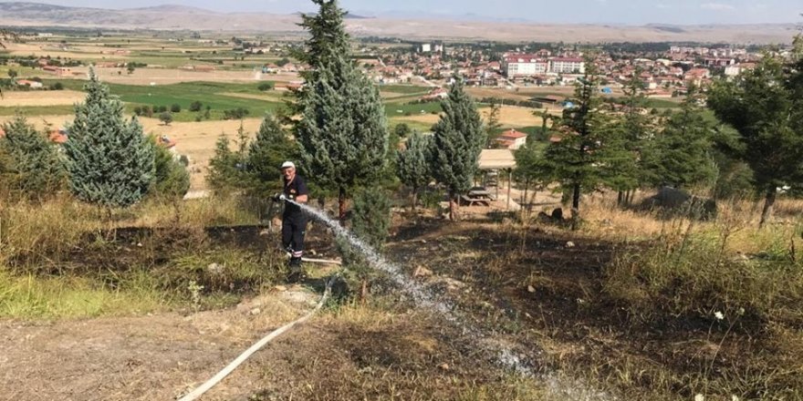 Şuhut’taki orman yangını büyümeden söndürüldü