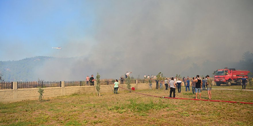 Çanakkale'de orman yangını! Havadan ve karadan müdahale ediliyor