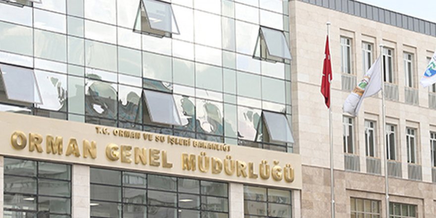 Orman Genel Müdürlüğü 4 bin 996 sözleşmeli personel alacak