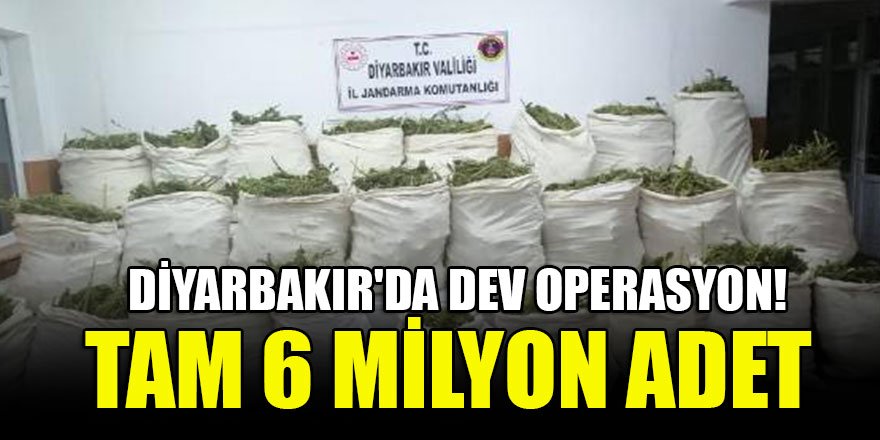 Diyarbakır'da dev operasyon! Tam 6 milyon adet