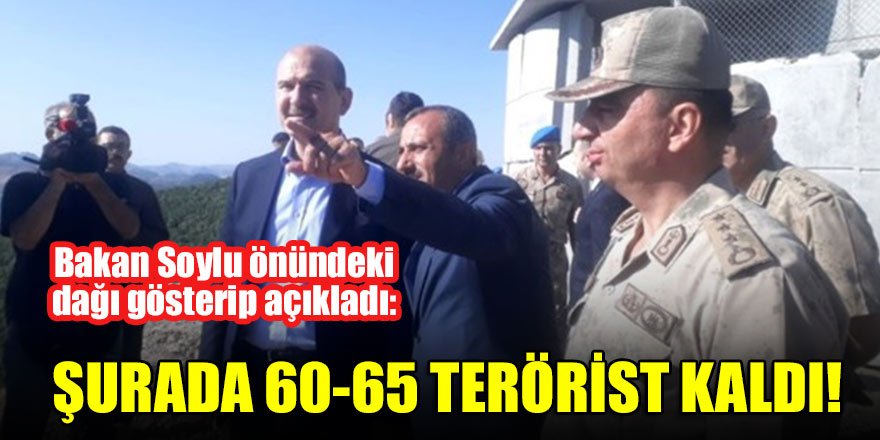 Bakan Soylu önündeki dağı gösterip açıkladı: Şurada 60-65 terörist kaldı
