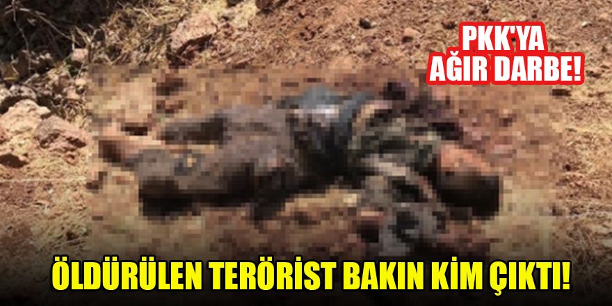 PKK'ya ağır darbe! Öldürülen terörist bakın kim çıktı