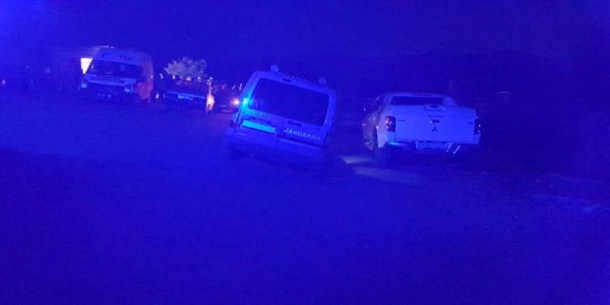 Akrabalar arasında 'hayvan otlatma' anlaşmazlığı: 2 ölü, 1 yaralı
