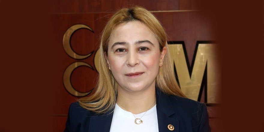 Esin Kara kazalarla ilgili araştırma önergesi verdi