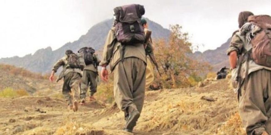 Siirt'te PKK operasyonu: 10 gözaltı