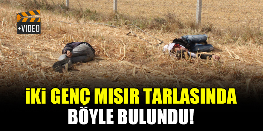 İki genç mısır tarlasında böyle bulundu!