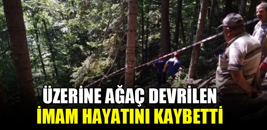 Üzerine ağaç devrilen imam hayatını kaybetti