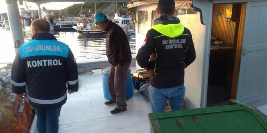 Su ürünleri çapraz denetimleri yapıldı